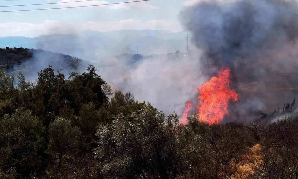 Φωτιά στην Ηλεία - Μεγάλη κινητοποίηση από την Πυροσβεστική